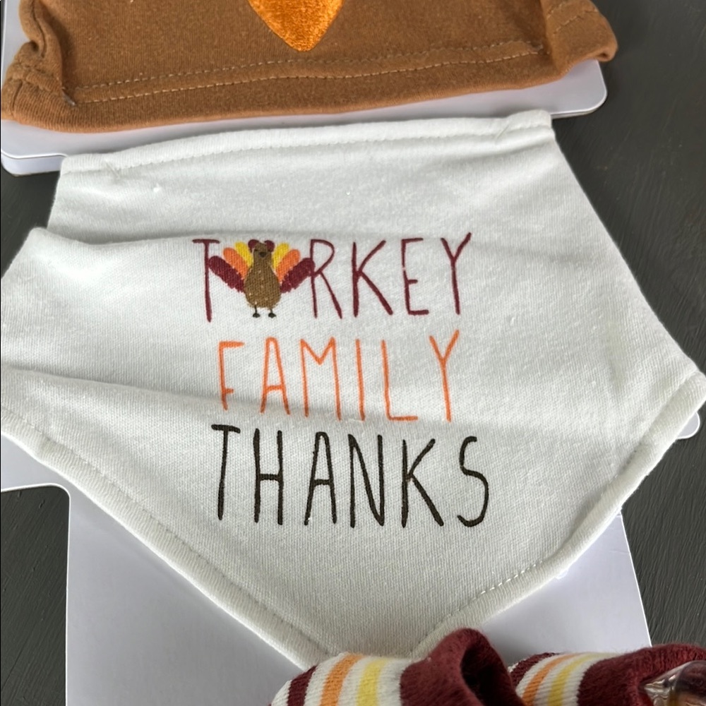Cute Turkey Baby Booties - Picture 3 of 5